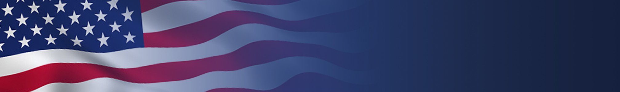 Allyson USA Banner