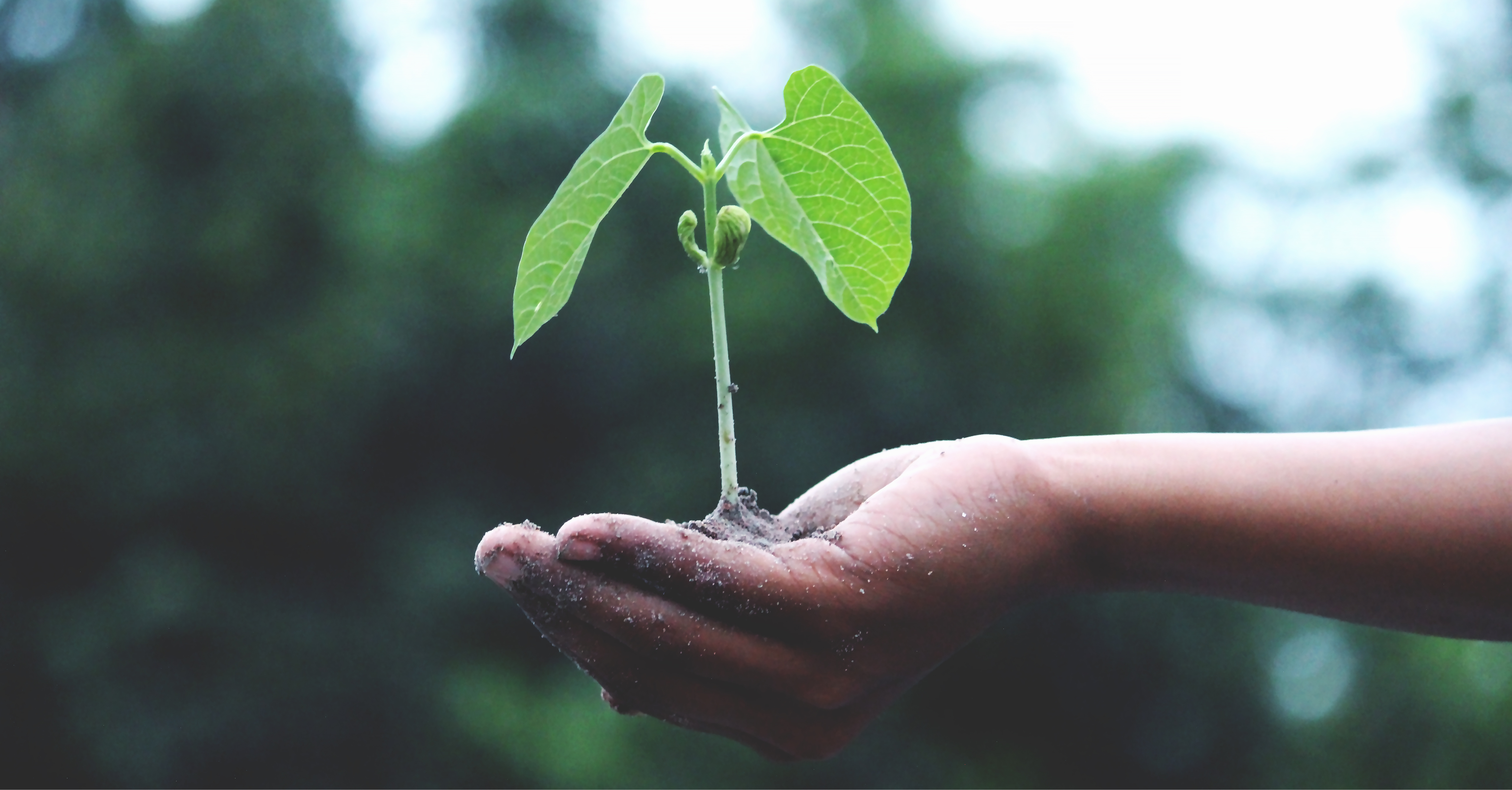 Share your expertise with the CIM Higher and Further Education Group 